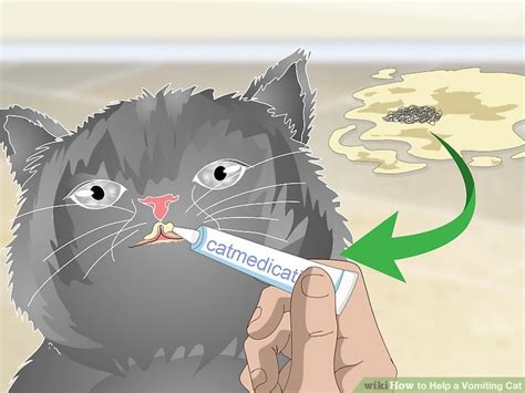 How to Help a Vomiting Cat: 14 Steps (with Pictures) - wikiHow