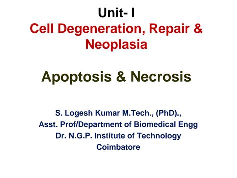 SOLUTION 2 Apoptosis Necrosis 1 Studypool