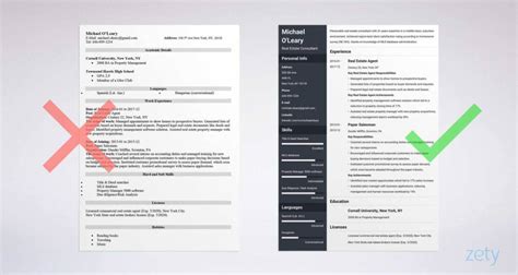 Real Estate Agent Resume Sample No Experience Real Estate Agent