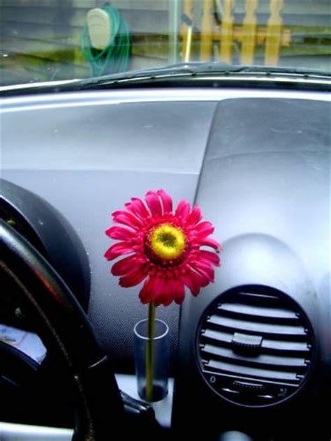 Flower Growing Zones Vw Beetle Flower Vase