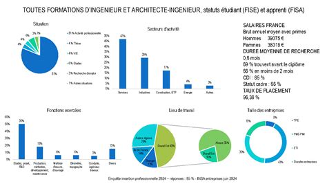 Enqu Te D Insertion Professionnelle Insa Strasbourginsa Strasbourg