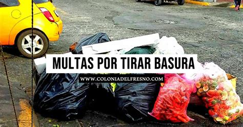 Denuncias Por Basura Dónde Cómo Y Qué Puedo Reportar Guadalajara