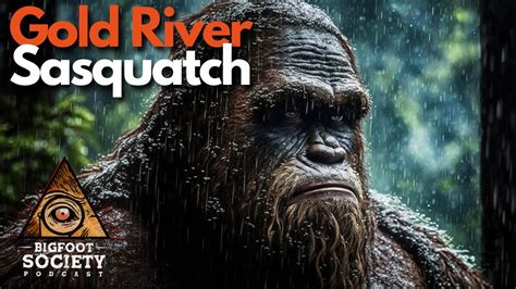 The Shocking Truth About Sasquatch On Vancouver Island YouTube