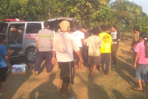 Diduga Dipatuk Ular Cobra Suku Anak Dalam Ditemukan Tewas Di Kebun Sawit