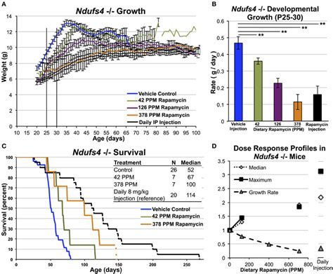 Frontiers Dose Dependent Effects Of Mtor Inhibition On Weight And