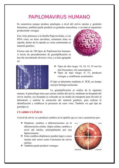 Papilomavirus Humano Ricardo Estudiante Udocz