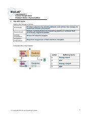 Biolab Docx Biolab Lab Report Cellular Respiration Student