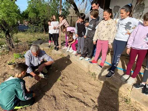 HUERTO ESCOLAR TOMATES CEIP MANUEL DE FALLA