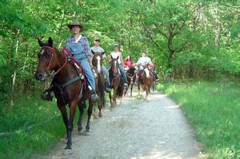 Trail Rides | Forest View Farms, horseback riding lessons, trail rides, horse boarding, petting ...