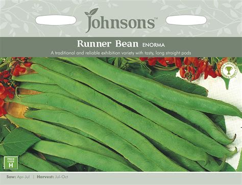 Johnsons Runner Bean Enorma Seeds Hillier