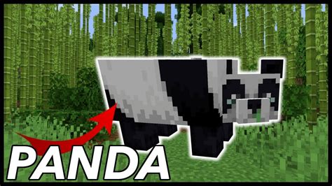 Where To Find Pandas In Minecraft YouTube