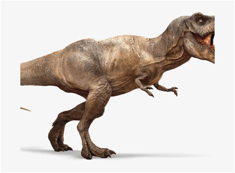 Download Transparent Indominus Rex Wiki Tyrannosaurus Rex T Rex Wiki