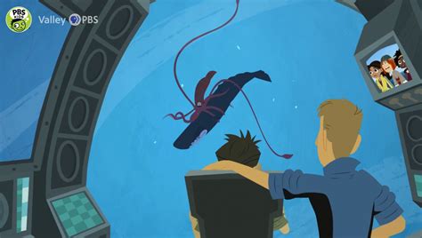 Sperm Whale Vs Giant Squid Wild Kratts