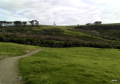 Long Bay Regional Park Coastal Walk – Tramping & Trail Running in ...