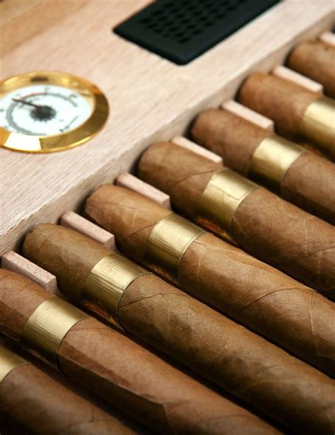 Le Meilleur Cigare Du Monde Un Cigare Unique Avec Du Caract Re Cc