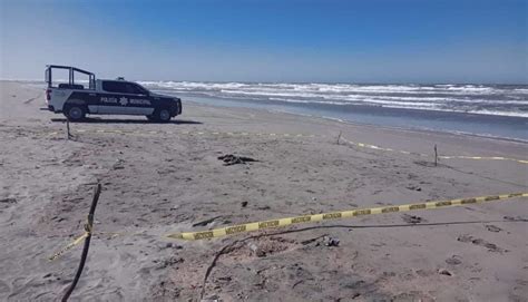 Santo Susto Aparece Brazo De Una Persona A La Orilla De Una Playa En