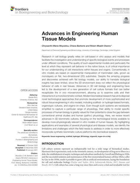 Pdf Advances In Engineering Human Tissue Models