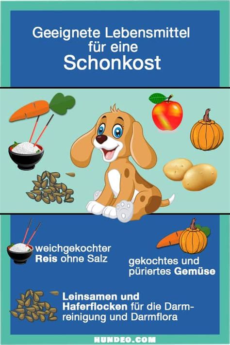 Schonkost F R Den Hund Rezepte Mit Tipps Schonkost Kochen F R