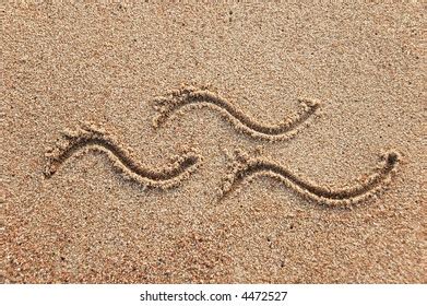 Planaria Bipalium Hammerhead Worm Foto De Stock 1831069222 Shutterstock