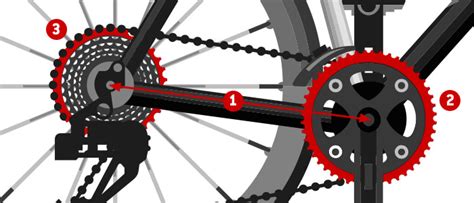 Chain Length Calculator for Bicycles | Guide: How to Replace a Chain