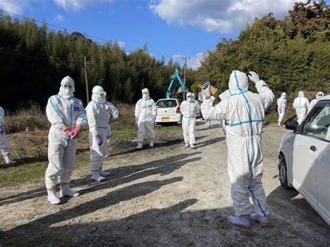 高病原性鳥インフルエンザの感染が確認された福岡県古賀市の農場で殺処分に当たる県職員（福岡県提供） 鳥インフル猛威、過去最多に 福岡・古賀の