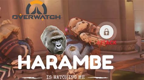 Dont Mess With Harambe Overwatch Youtube