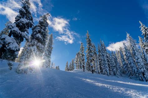 Hintergrundbilder Winter Schnee Sonnenlicht B Ume X