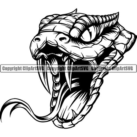 Rattlesnake Head for sale | Only 2 left at -75%