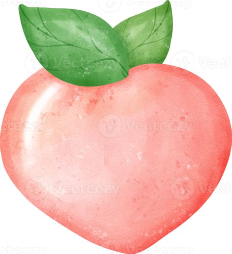 Cute Sweet Pink Peach Watercolour Hand Painting 23251708 Png