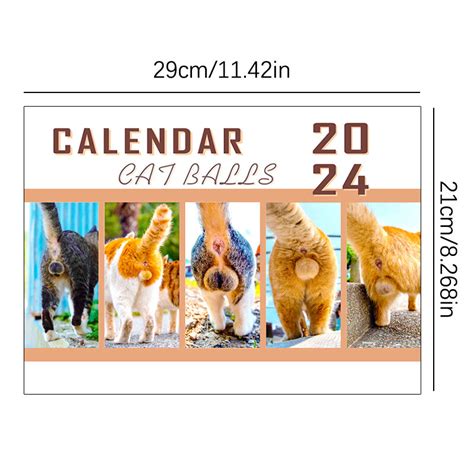 Calendrier Mural Des Fesses De Chat Pour Les Amoureux Des Chats