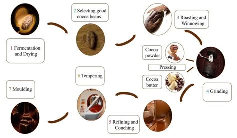 Uncovering the Chocolate Making Process 2024