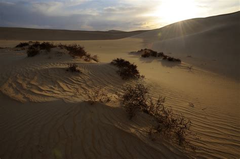 Libyan Desert 3 Siwa Oasis And The Libyan Desert Pictures Egypt