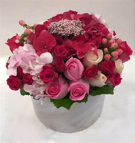 Royal Rose Art And Bloom
