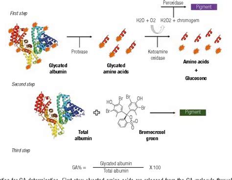 Pdf Glycated Albumin Is The Preferred Marker For Assessing Glycaemic