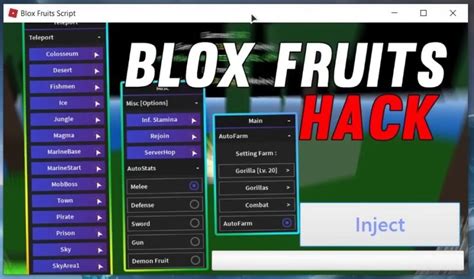 How To Use The Hoho Hub Script In Blox Fruits 2024 The Nature Hero