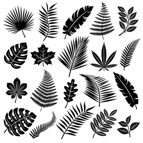 Premium Vector Set Of Tropical Leaves Vector