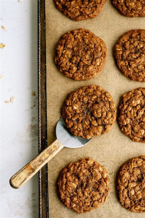 Oatmeal Gingerbread Cookies Recipe