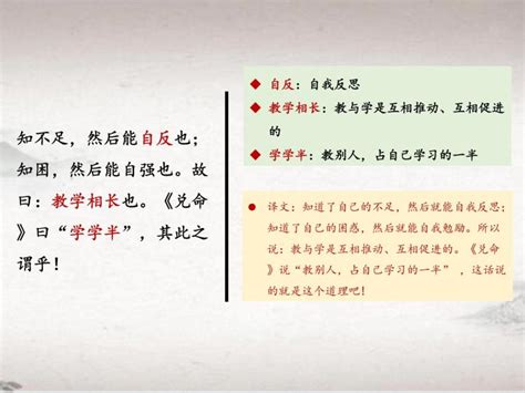 第六单元 221 虽有佳肴 （教学课件） 初中语文人教统编版八年级下册 教习网课件下载