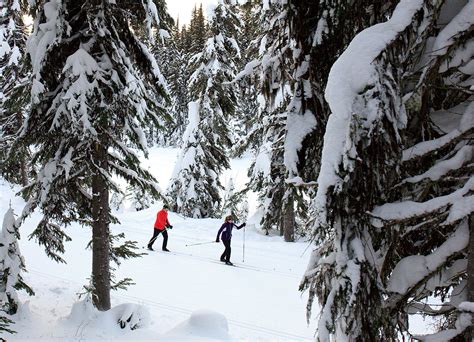 Vernon is surrounded by a trifecta of skiing options | SnowSeekers