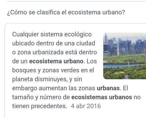 Clasificación Del Ecosistema Urbano Brainlylat