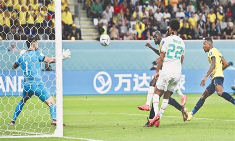 Koulibaly Sinks Ecuador To Fire Senegal Into Knockouts Newspaper