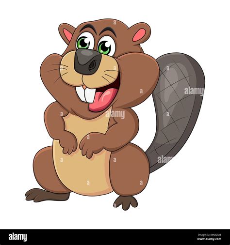 Cartoon Beaver Animal Isolated On White Background Stock Vector Image