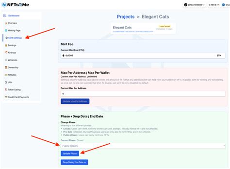 Configuring NFT Minting Phases - NFTs2Me