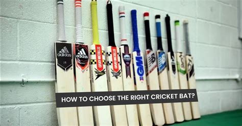 How To Choose The Right Cricket Bat Yashi Sports Inc