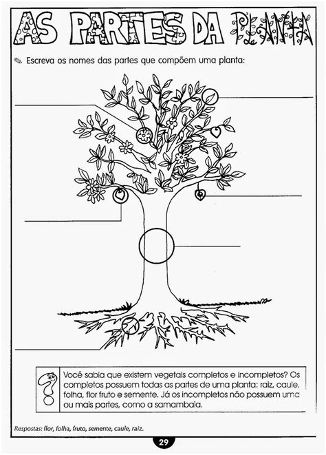 Educa X Atividades de ciências 4 ano plantas