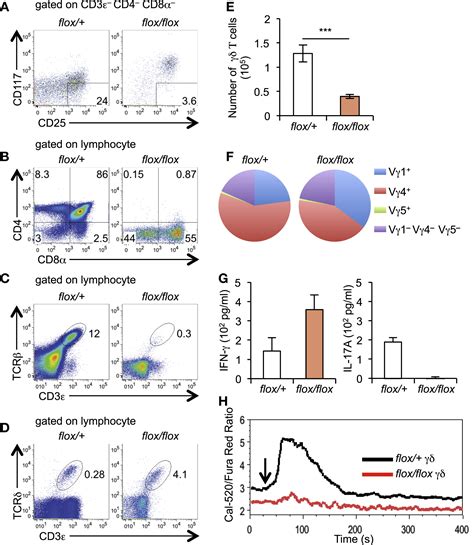 Cd5−nk11 γδ T Cells That Develop In A Bcl11b Independent Manner