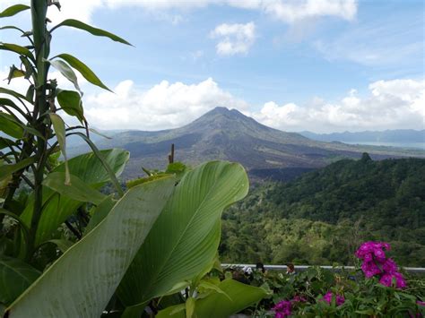 Migliore Assicurazione Viaggio Per Bali Cosa Copre Spese Mediche E