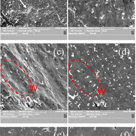 Xrd Patterns Of The Alb Raw Powder And Sps Ed Samples Fabricated