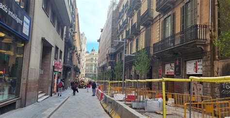 El carrer de Jonqueres estrena arbres i més illuminació