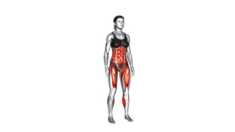 Female Standing Air Bike Ultimate Video Guide And Tips